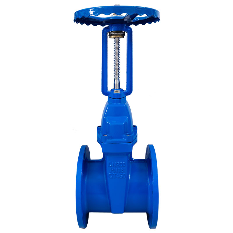 Rising Stem Flanged Gate Valve