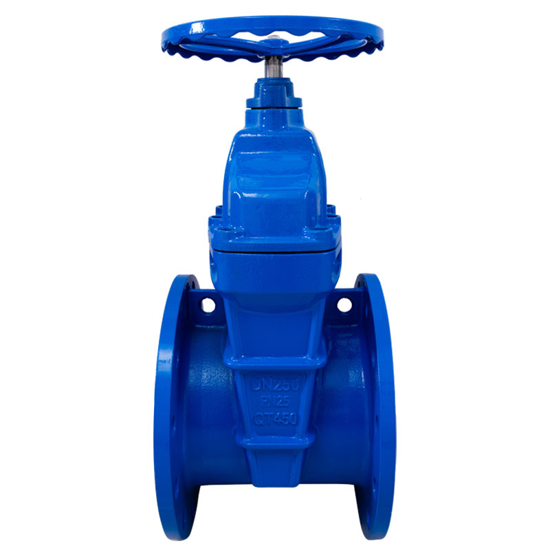 PN25 Non-rising Stem Flange Gate Valve1