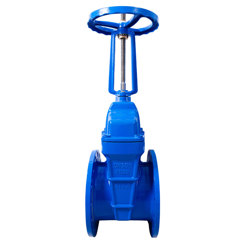 PN25 Rising Stem Flange Gate Valve