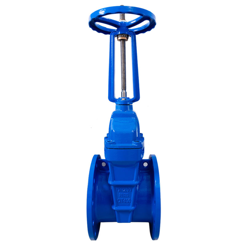 PN25 Rising Stem Flange Gate Valve1