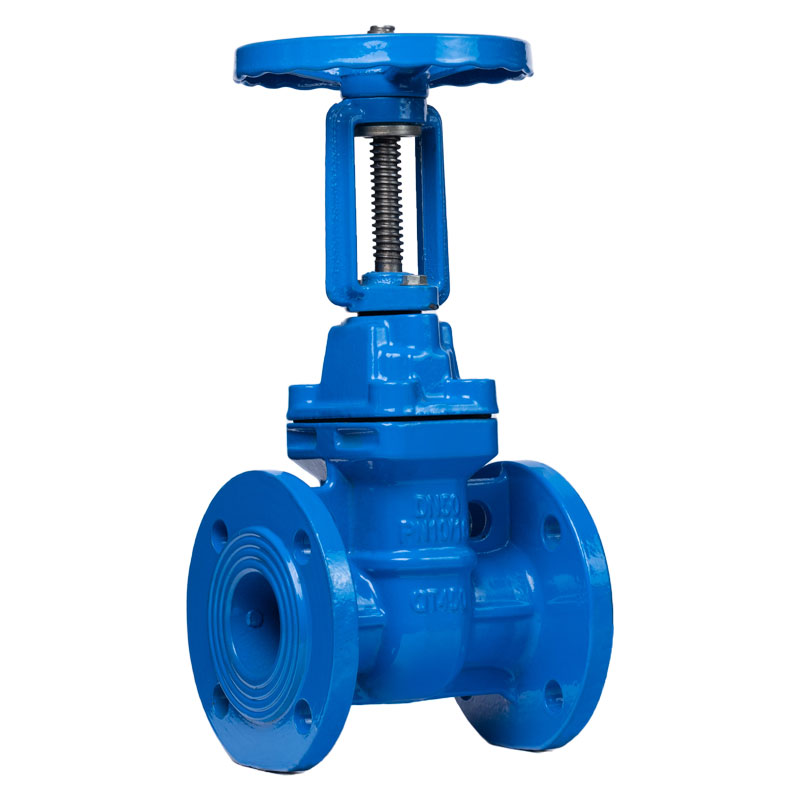 Metal Seated Rising Stem Flange Gate Valve