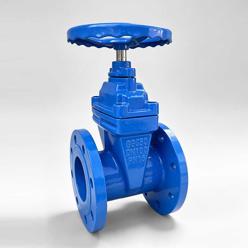 German Standard Non-Rising Stem Flanged Gate Valve2